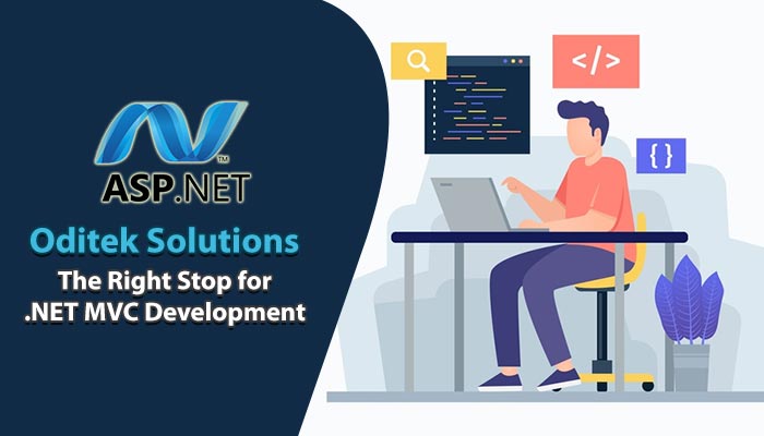 ASP.NET MVC Development Company