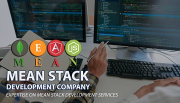 mean stack development company
