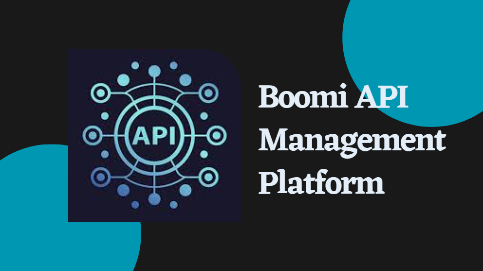 Boomi API Management