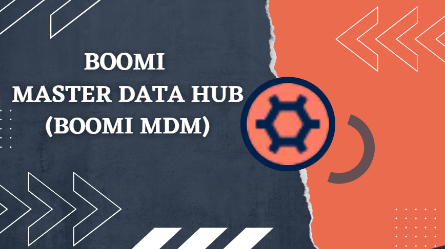 Boomi Master Data Hub