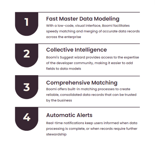 The Key Functions Offered by Boomi Master Data Hub