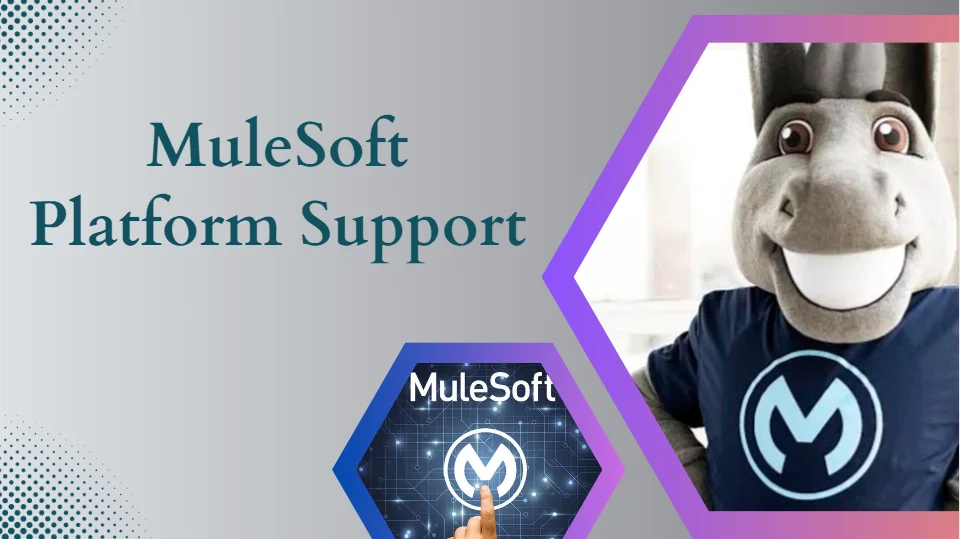 Mulesoft platform